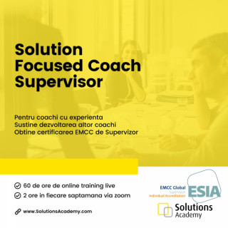 Solution Focused Coaching Supervision Picture