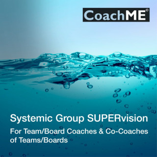 Systemic Group SUPERvision for Team/Board Coaches and Team/Board Co-Coaches Picture