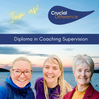 Diploma in Coaching Supervision Picture
