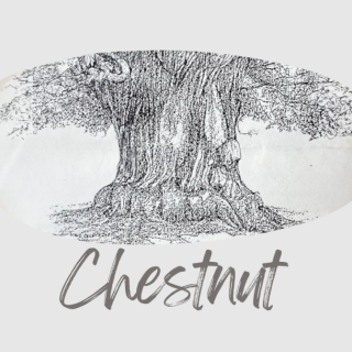 Chestnut Picture