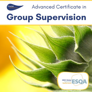 Advanced Certificate in Group Supervision Picture