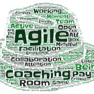 An Agile Coach's Toolkit is dynamic and complex Picture