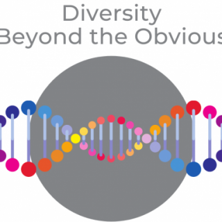 Diversity - Beyond the Obvious Picture